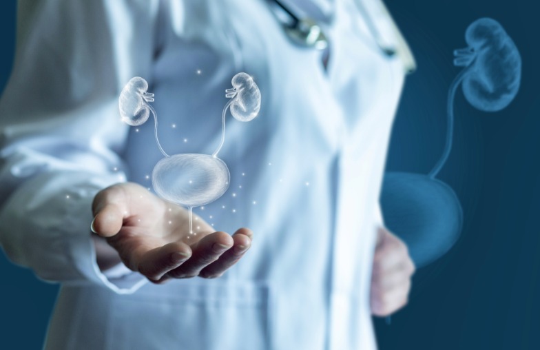 Nephrologist with bladder generated image