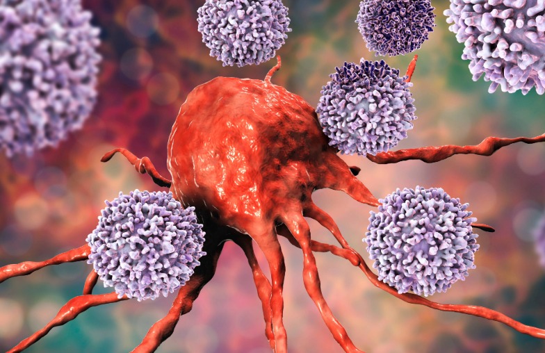 Immuno-oncology Cells